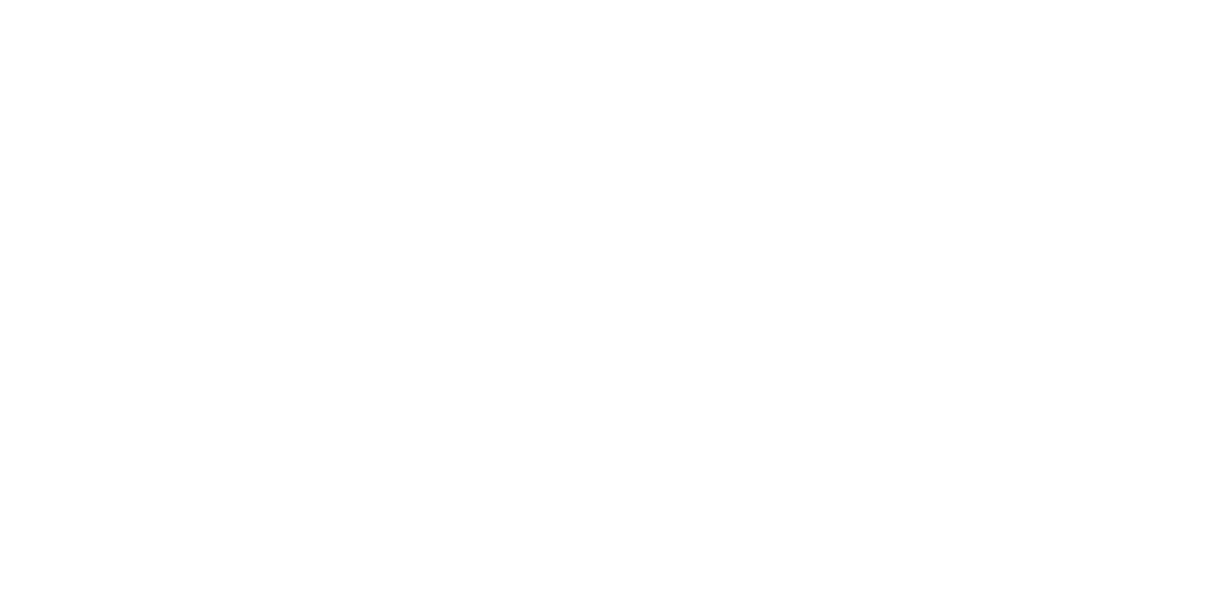 Yenasim-Logo-White 1